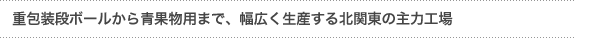 『重包装段ボールから青果物用まで、幅広く生産する北関東の主力工場』